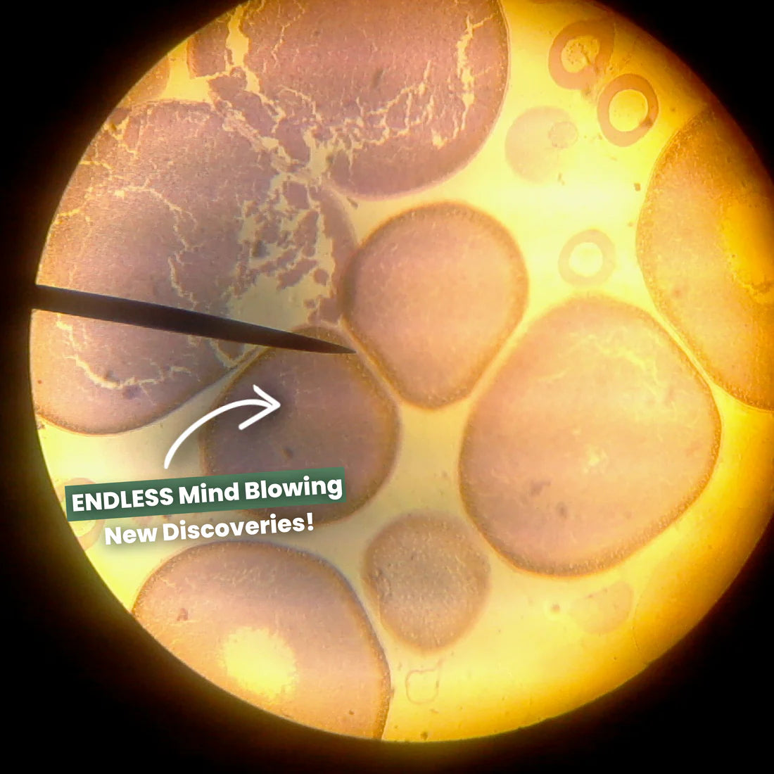 The Original Miniscope (250x Zoom)